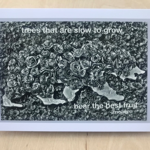 trees that are slow to grow bear the best fruit patience quote greeting card - Picture 1 of 3